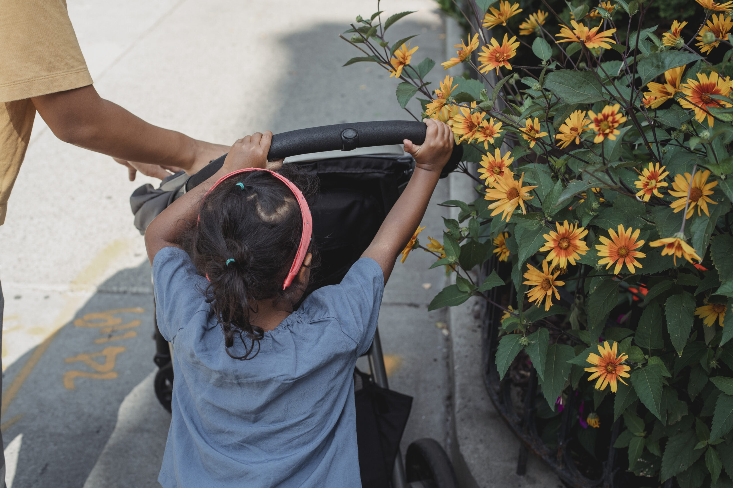 What’s The Difference Between A Full-size And Umbrella Stroller?